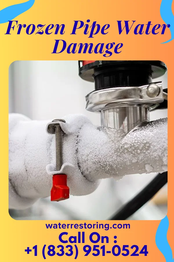 Frozen Pipe Water Damage in Bear Creek, FL