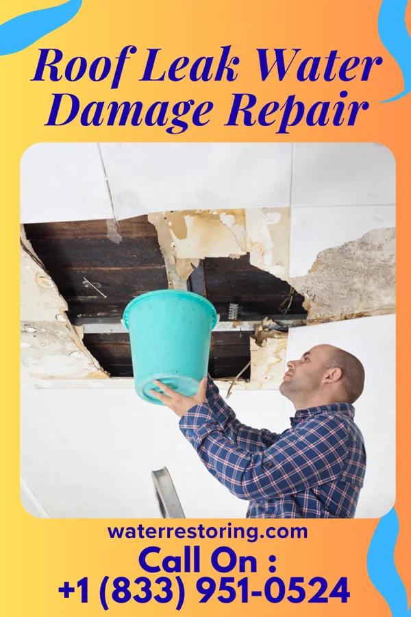 Roof Leak Water Damage Repair in Bear Creek, FL